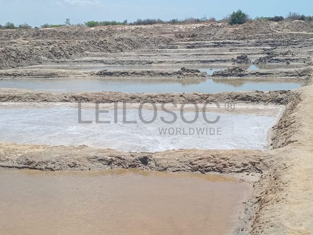 Propriedade de 15,687 ha com Salinas e Represas - Ilha de Moçambique