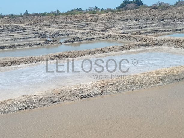 Propriedade de 15,687 ha com Salinas e Represas - Ilha de Moçambique