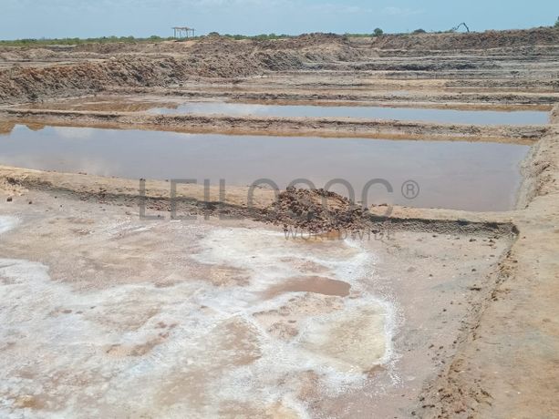 Propriedade de 15,687 ha com Salinas e Represas - Ilha de Moçambique