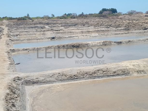 Propriedade de 15,687 ha com Salinas e Represas - Ilha de Moçambique