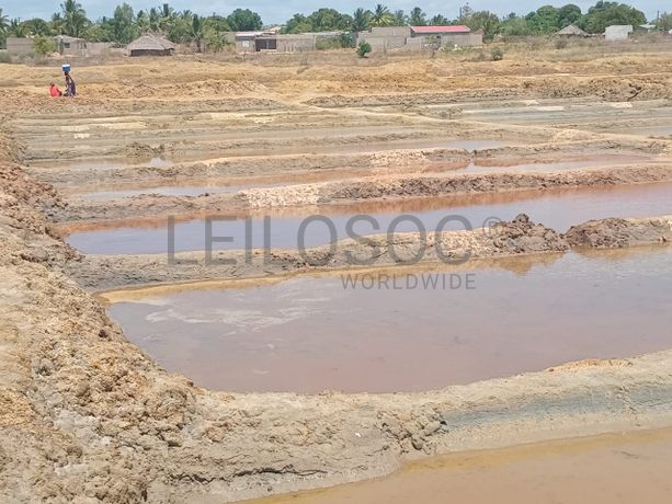 Propriedade de 15,687 ha com Salinas e Represas - Ilha de Moçambique