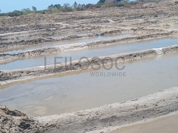 Propriedade de 15,687 ha com Salinas e Represas - Ilha de Moçambique