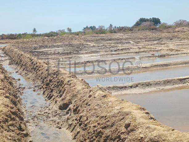 Propriedade de 15,687 ha com Salinas e Represas - Ilha de Moçambique