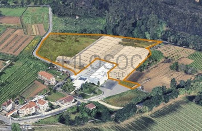 Estabelecimento Comercial · Valongo do Vouga, Águeda