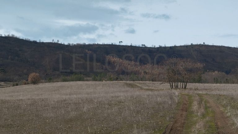 Quinhão Hereditário · Vale da Senhora da Póvoa, Penamacor