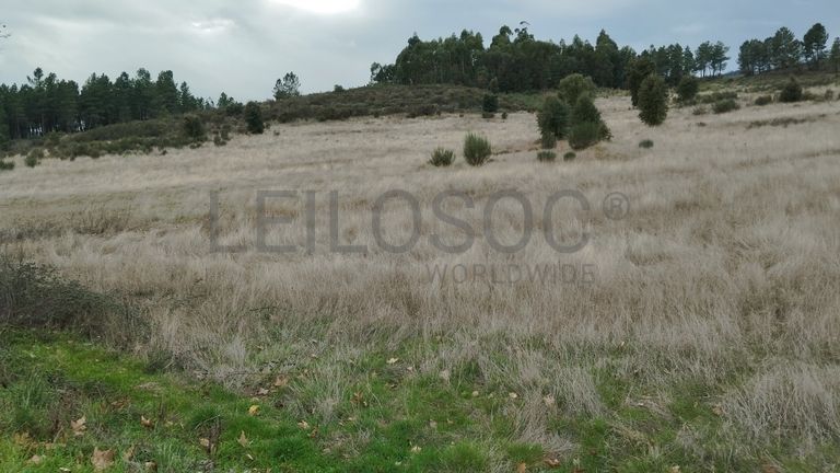 Quinhão Hereditário · Vale da Senhora da Póvoa, Penamacor
