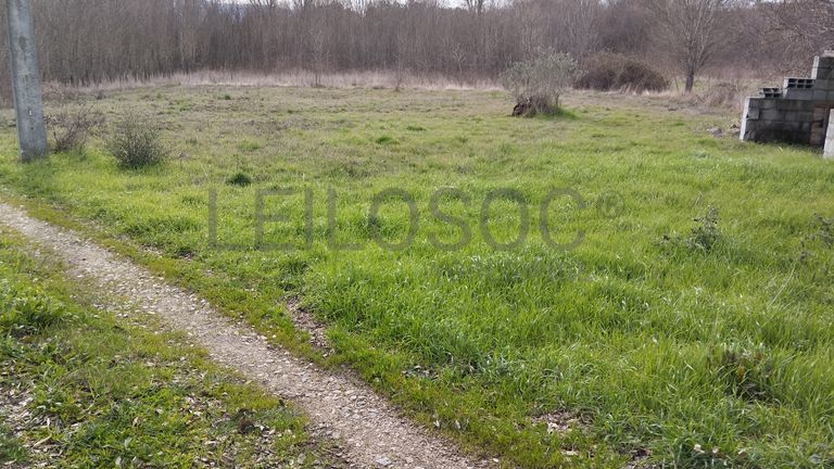 Quinhão Hereditário · Vale da Senhora da Póvoa, Penamacor