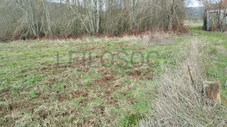 Quinhão Hereditário · Vale da Senhora da Póvoa, Penamacor
