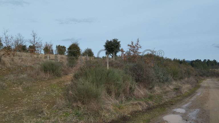Quinhão Hereditário · Vale da Senhora da Póvoa, Penamacor