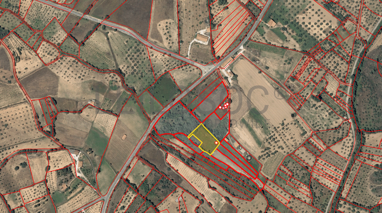 Quinhão Hereditário · Vale da Senhora da Póvoa, Penamacor