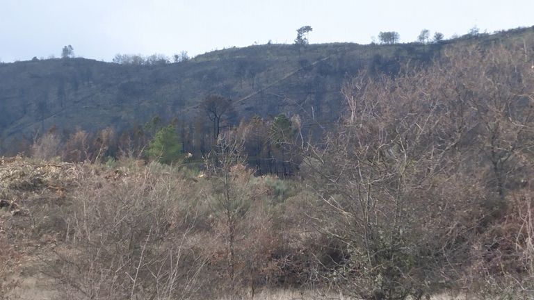 Quinhão Hereditário · Vale da Senhora da Póvoa, Penamacor