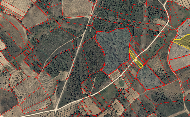 Quinhão Hereditário · Vale da Senhora da Póvoa, Penamacor