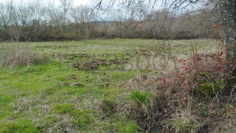Quinhão Hereditário · Vale da Senhora da Póvoa, Penamacor
