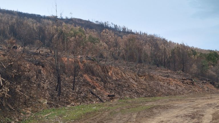 Quinhão Hereditário · Vale da Senhora da Póvoa, Penamacor