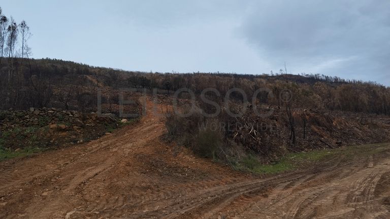 Quinhão Hereditário · Vale da Senhora da Póvoa, Penamacor