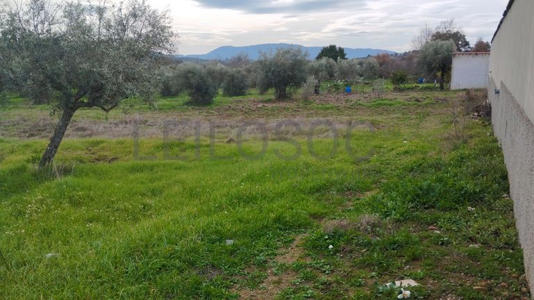 Quinhão Hereditário · Vale da Senhora da Póvoa, Penamacor