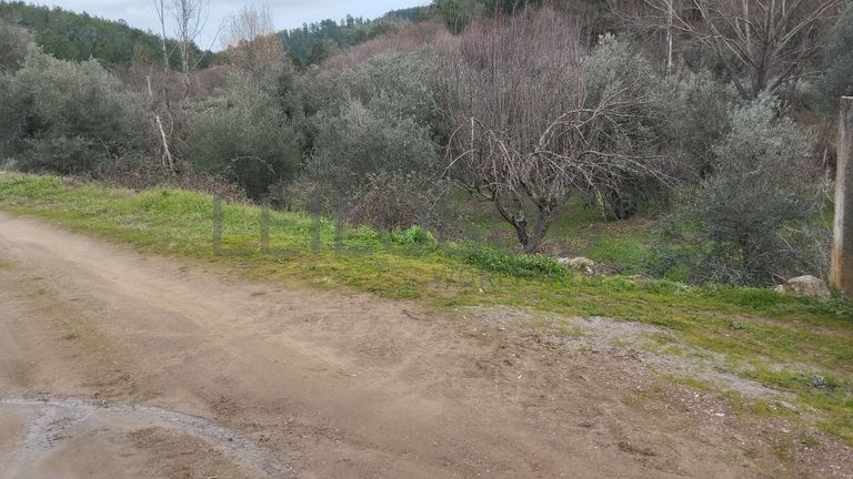 Quinhão Hereditário · Vale da Senhora da Póvoa, Penamacor