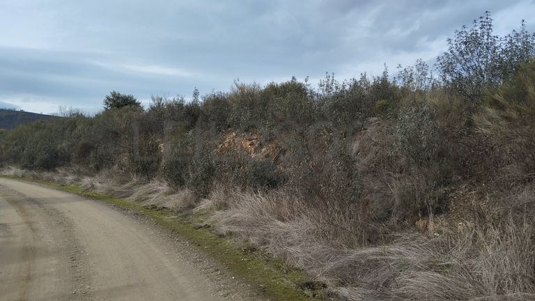 Quinhão Hereditário · Vale da Senhora da Póvoa, Penamacor