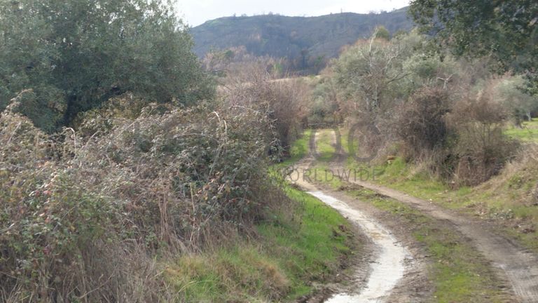 Quinhão Hereditário · Vale da Senhora da Póvoa, Penamacor