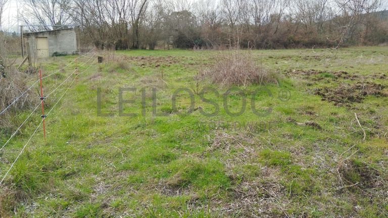 Quinhão Hereditário · Vale da Senhora da Póvoa, Penamacor