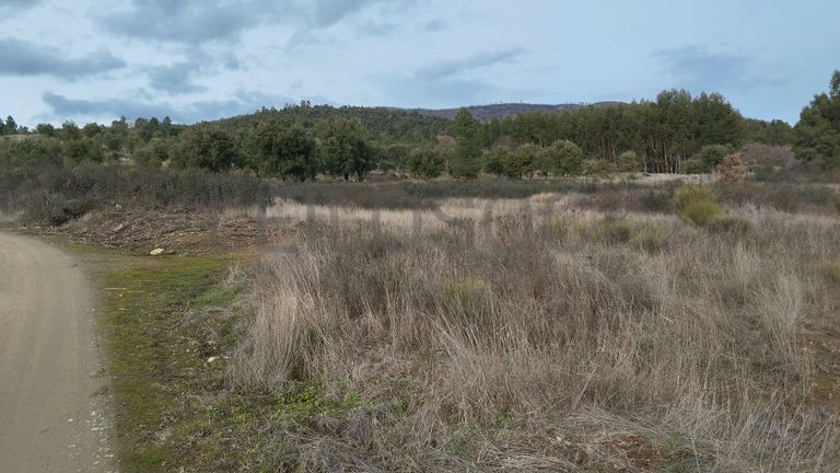 Quinhão Hereditário · Vale da Senhora da Póvoa, Penamacor