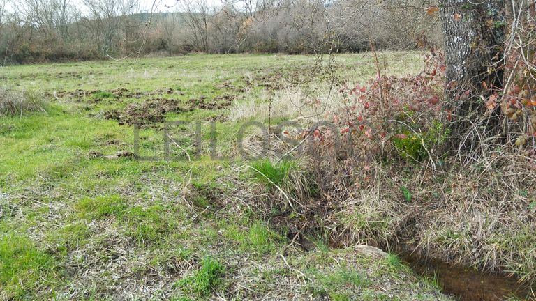 Quinhão Hereditário · Vale da Senhora da Póvoa, Penamacor