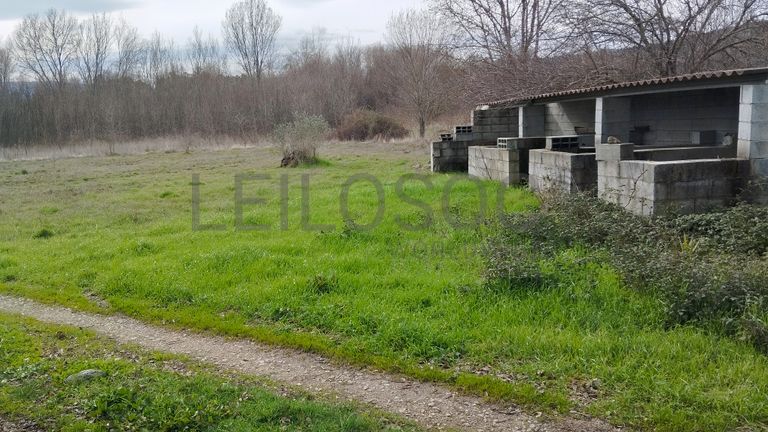Quinhão Hereditário · Vale da Senhora da Póvoa, Penamacor