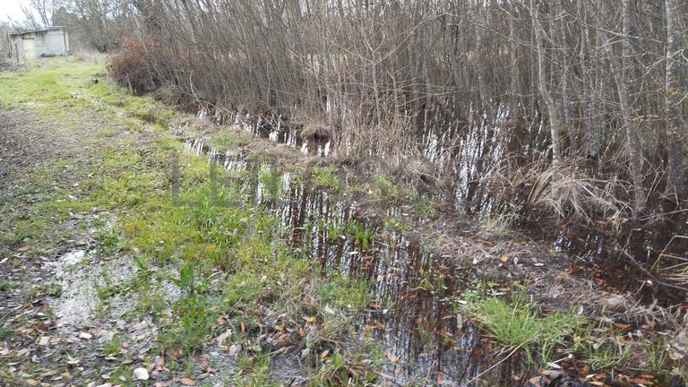 Quinhão Hereditário · Vale da Senhora da Póvoa, Penamacor