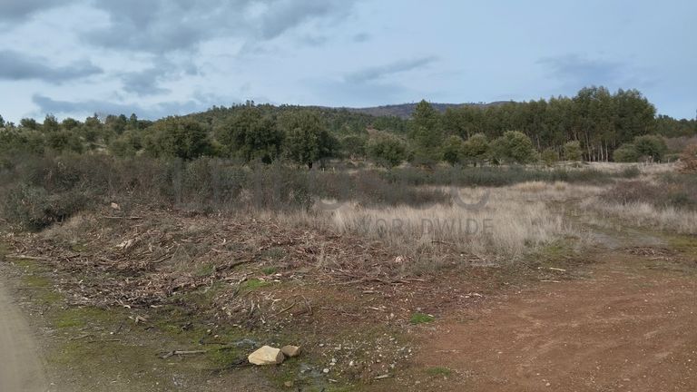 Quinhão Hereditário · Vale da Senhora da Póvoa, Penamacor