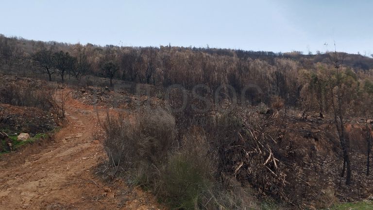 Quinhão Hereditário · Vale da Senhora da Póvoa, Penamacor