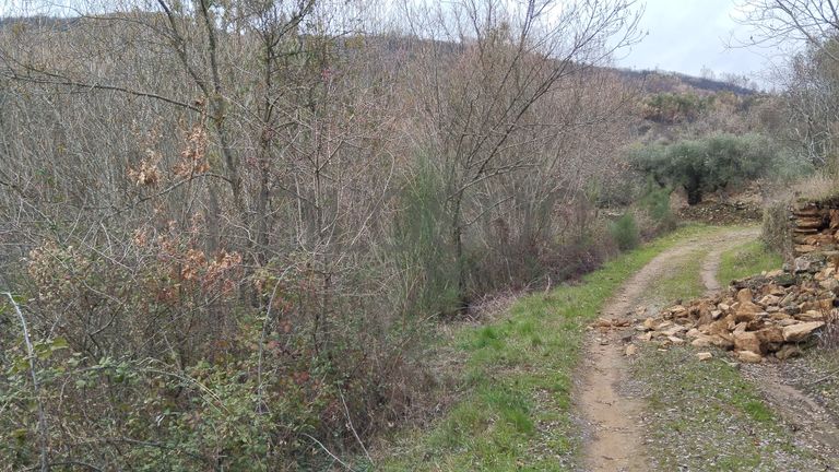 Quinhão Hereditário · Vale da Senhora da Póvoa, Penamacor