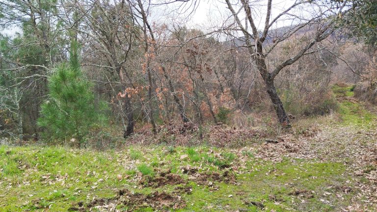 Quinhão Hereditário · Vale da Senhora da Póvoa, Penamacor