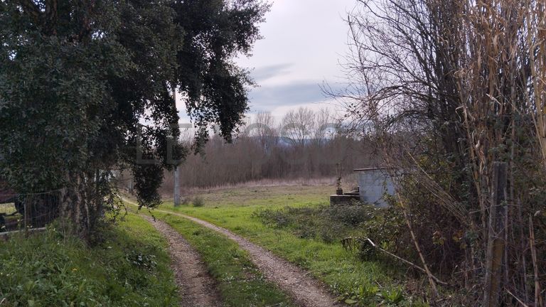 Quinhão Hereditário · Vale da Senhora da Póvoa, Penamacor