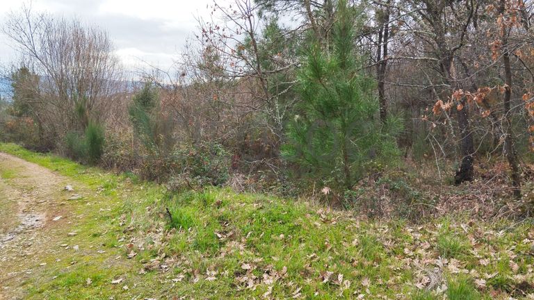 Quinhão Hereditário · Vale da Senhora da Póvoa, Penamacor