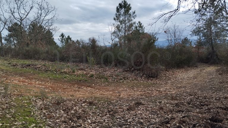 Quinhão Hereditário · Vale da Senhora da Póvoa, Penamacor