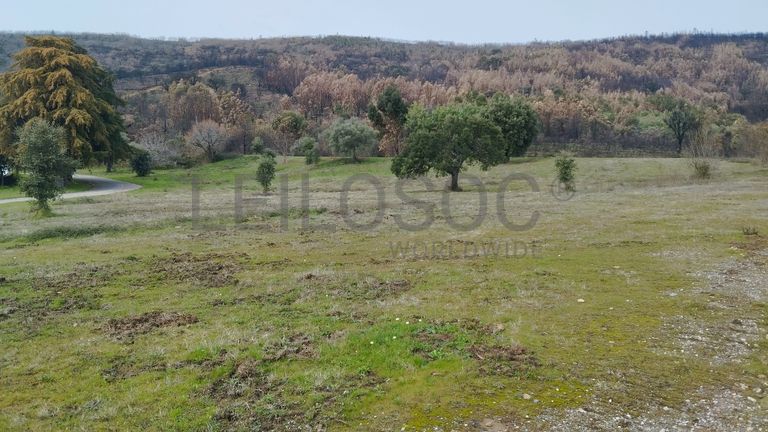 Quinhão Hereditário · Vale da Senhora da Póvoa, Penamacor