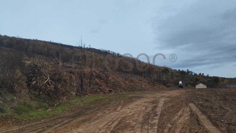Quinhão Hereditário · Vale da Senhora da Póvoa, Penamacor