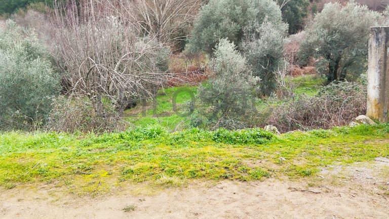 Quinhão Hereditário · Vale da Senhora da Póvoa, Penamacor