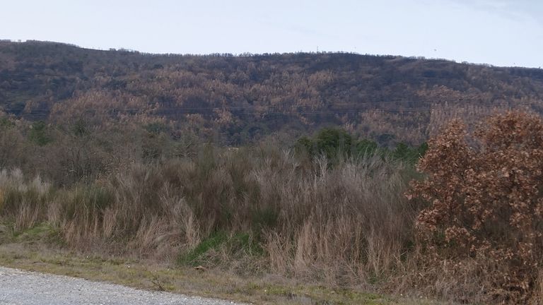 Quinhão Hereditário · Vale da Senhora da Póvoa, Penamacor