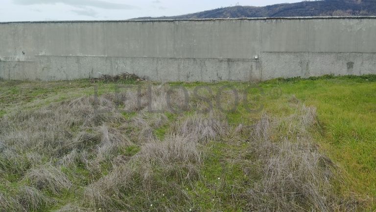 Quinhão Hereditário · Vale da Senhora da Póvoa, Penamacor