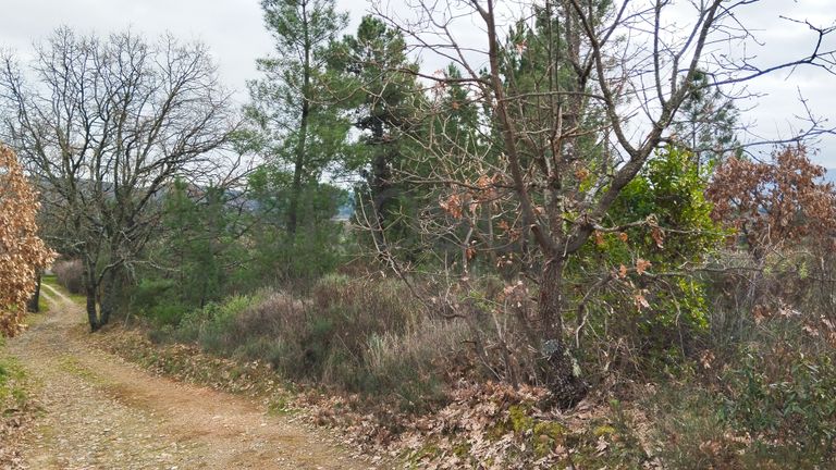 Quinhão Hereditário · Vale da Senhora da Póvoa, Penamacor
