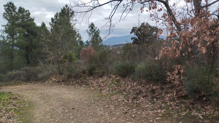 Quinhão Hereditário · Vale da Senhora da Póvoa, Penamacor