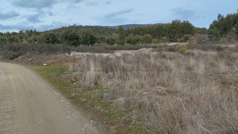 Quinhão Hereditário · Vale da Senhora da Póvoa, Penamacor
