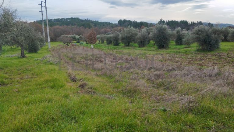 Quinhão Hereditário · Vale da Senhora da Póvoa, Penamacor