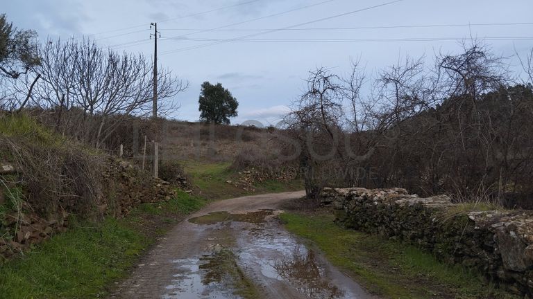 Quinhão Hereditário · Vale da Senhora da Póvoa, Penamacor