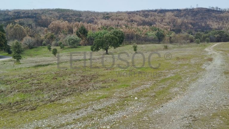 Quinhão Hereditário · Vale da Senhora da Póvoa, Penamacor
