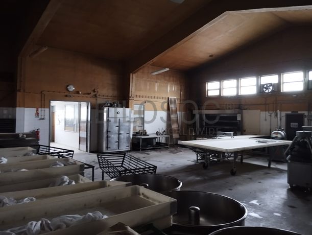 Estabelecimento Comercial · Torrão, Alcácer do Sal