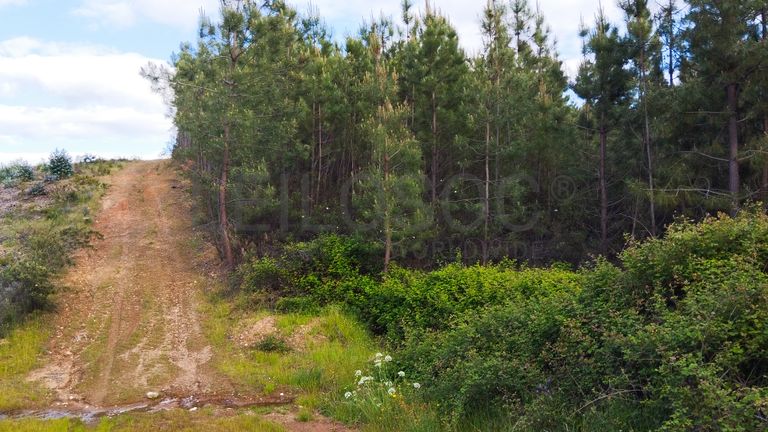 Proporção de 1/3 de Terreno · São Vicente da Beira, Castelo Branco