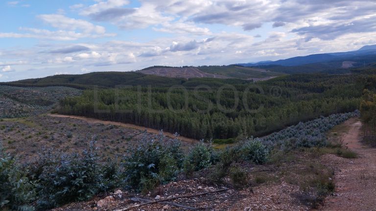 Proporção de 1/3 de Terreno · São Vicente da Beira, Castelo Branco