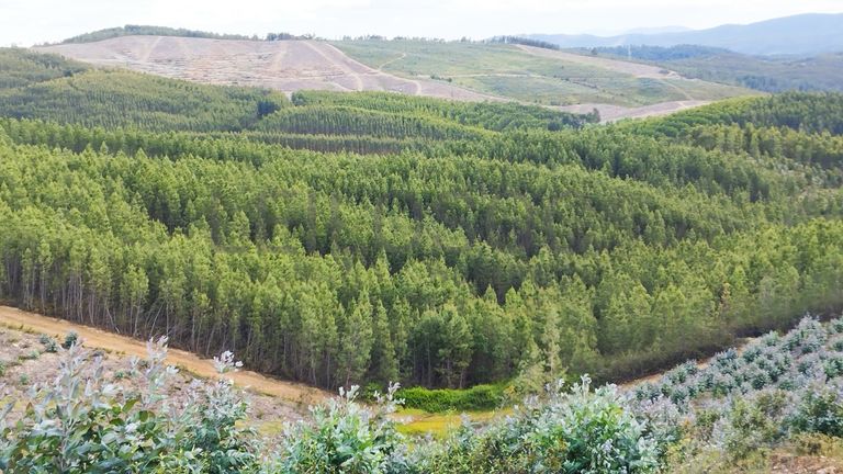 Proporção de 1/3 de Terreno · São Vicente da Beira, Castelo Branco